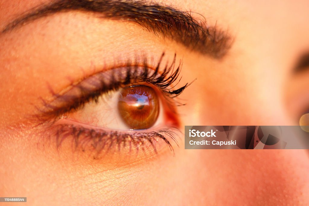 TOP 6 RAREST EYE COLORS IN THE WORLD - Subject Nest